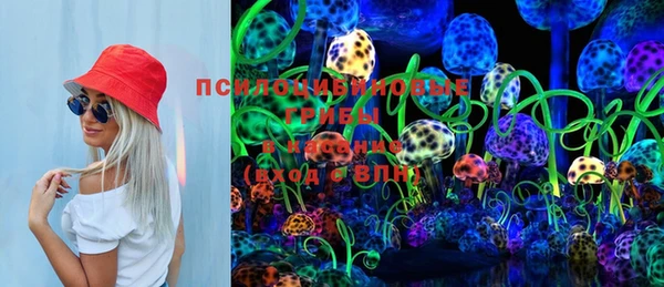 ПСИЛОЦИБИНОВЫЕ ГРИБЫ Балахна