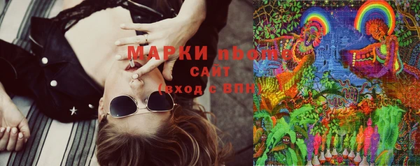 ПСИЛОЦИБИНОВЫЕ ГРИБЫ Балахна