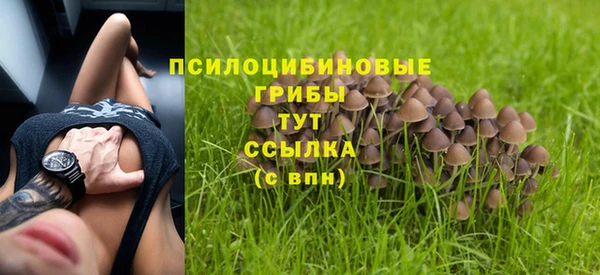 тгк Арсеньев