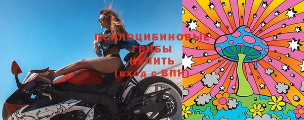 тгк Арсеньев