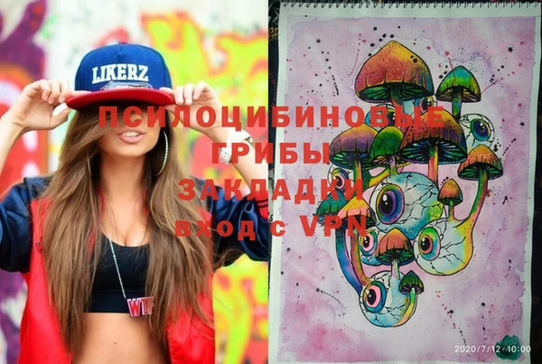 тгк Арсеньев
