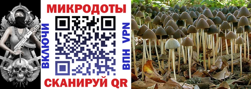 гидра зеркало  Берёзовский  Псилоцибиновые грибы Magic Shrooms 
