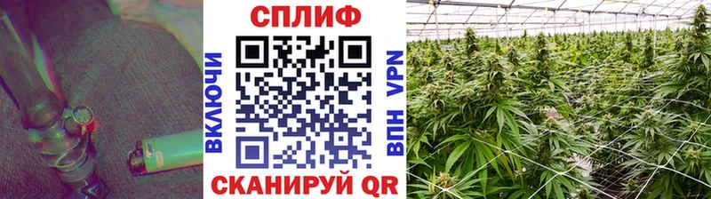 наркота  Берёзовский  Канабис VHQ 